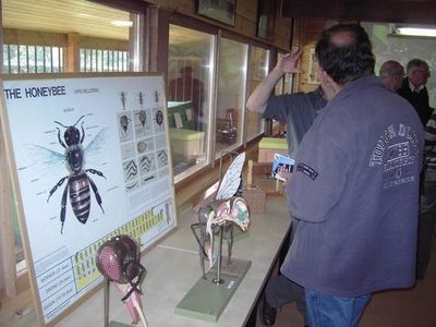 Experimentele Bijenstanden LIB